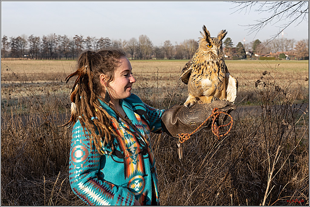 Cheyenne-Halbblut Hunting Wolf in der Falknerei Pierre Schmidt; Gymnich, 09.02.2023